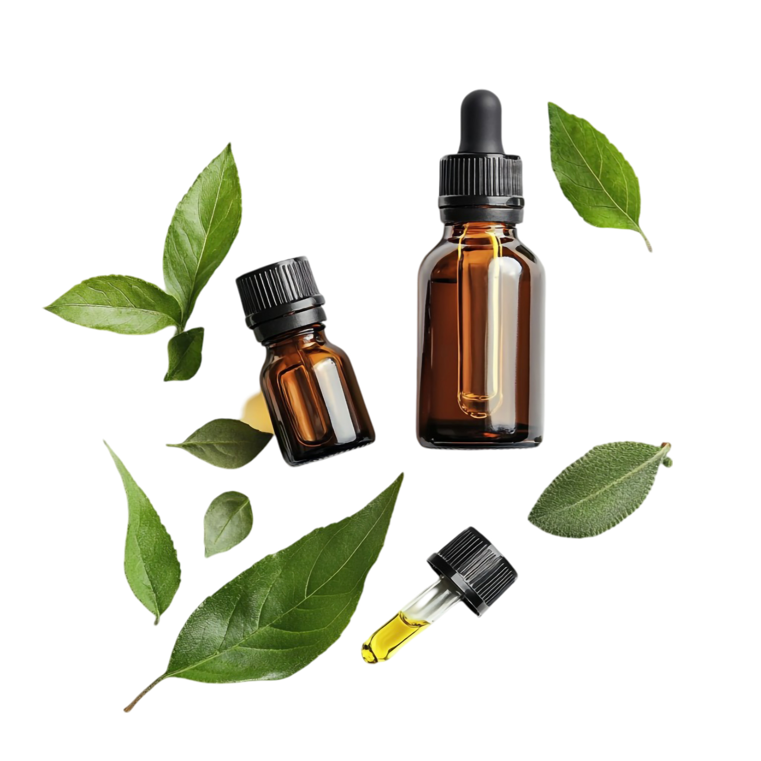 High-Quality Tinctures & Botanical Extracts | W Last