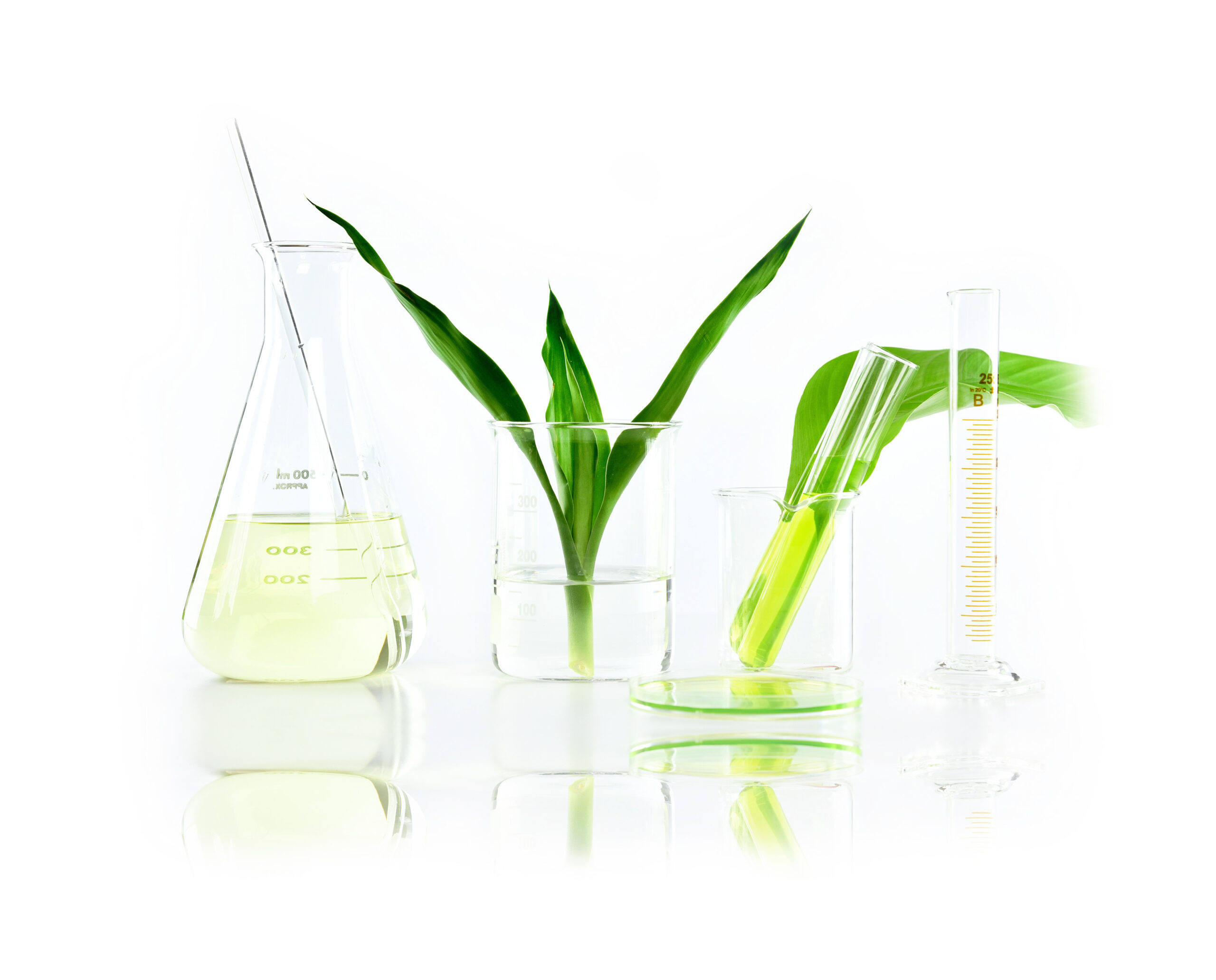 About W.Last | Trusted Supplier of Herbal Tinctures